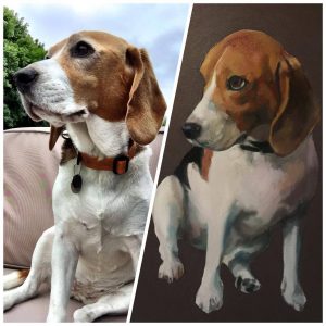 Beagle Painting - OIl on Canvas